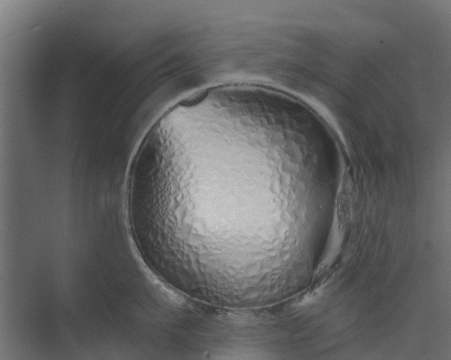 X0000073930911200608251612