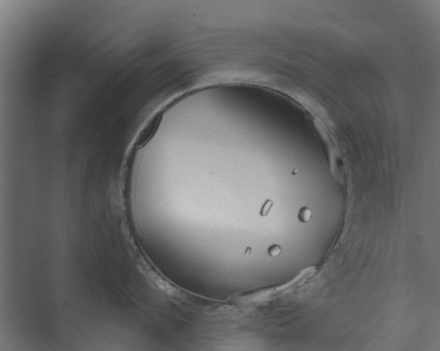 X0000073930912200608251612