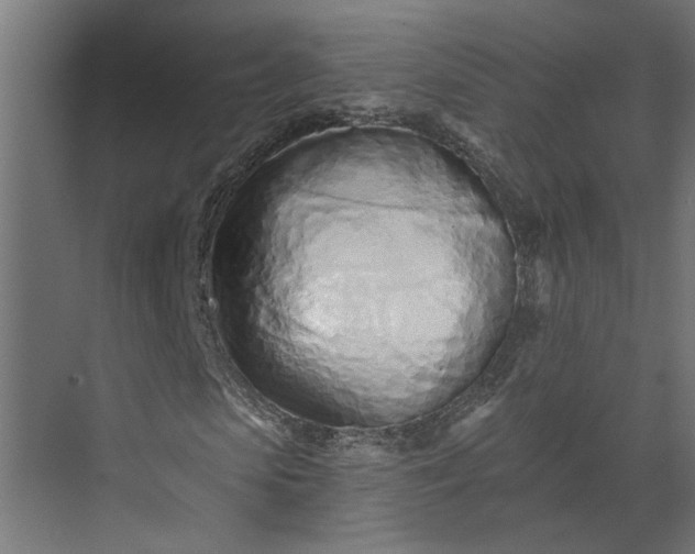 X0000073930913200608251611