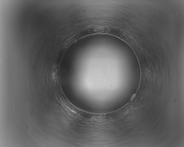 X0000073930914200608251611