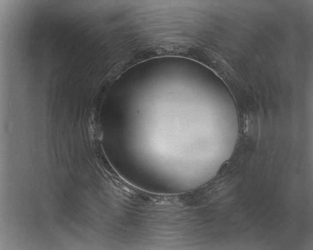 X0000073930915200608251611