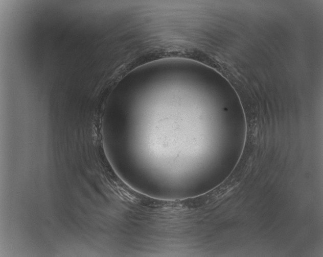 X0000073930916200608251611