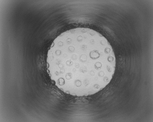 X0000073930918200608251611