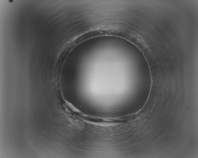 X0000073930920200608251611