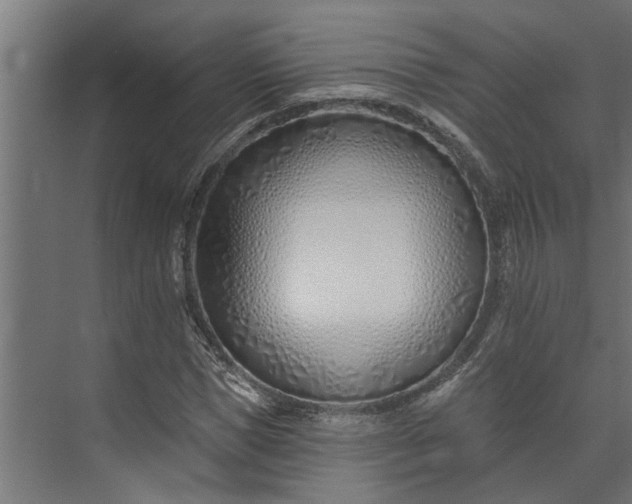 X0000073930921200608251611