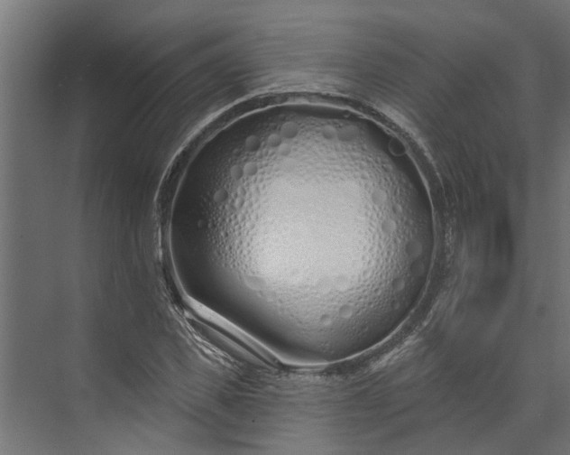 X0000073930925200608251611