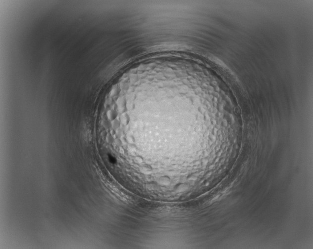 X0000073930929200608251611