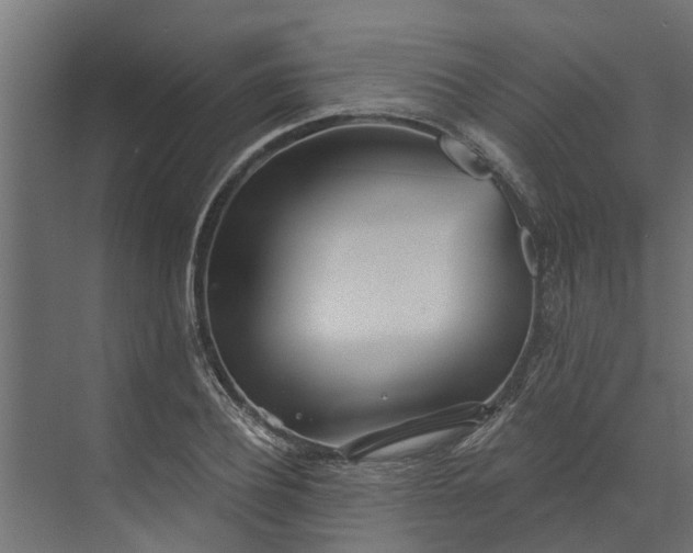 X0000073930932200608251611