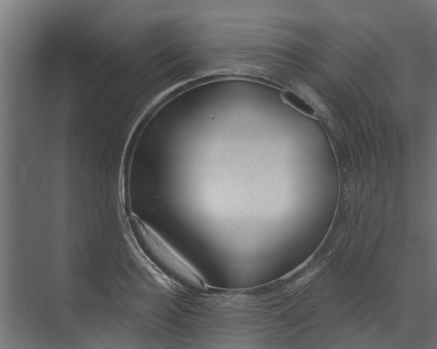 X0000073930940200608251612