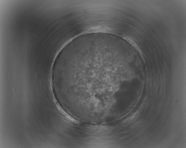 X0000073930941200608251612