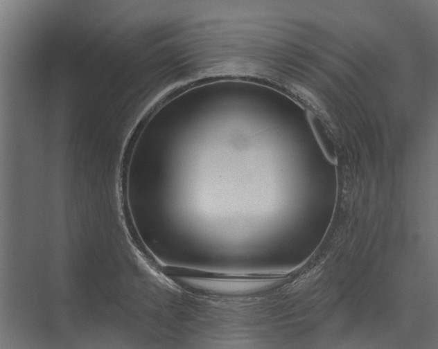 X0000073930942200608251612