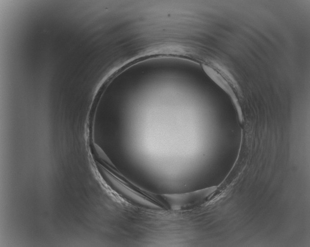 X0000073930944200608251612