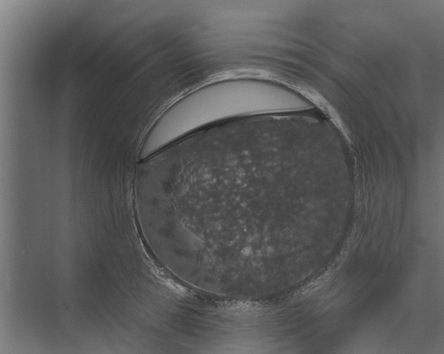 X0000073930945200608251612