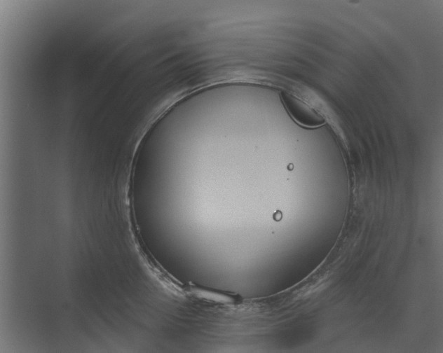 X0000073930954200608251612