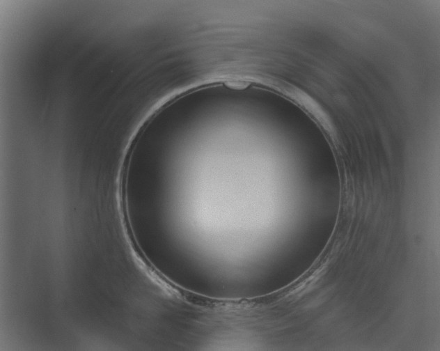 X0000073930958200608251612