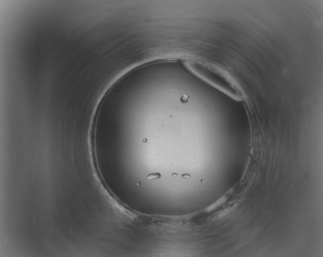 X0000073930959200608251612