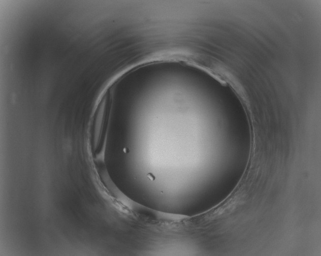 X0000073930960200608251612