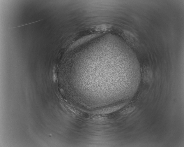 X0000073930962200608251611