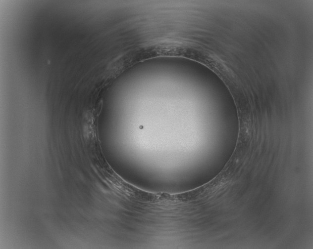 X0000073930964200608251611