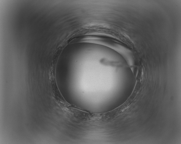 X0000073930965200608251611