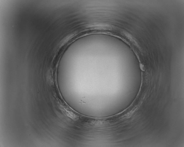 X0000073930970200608251611