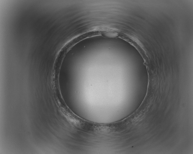 X0000073930971200608251611