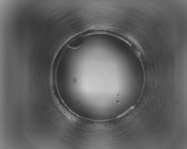 X0000073930976200608251611