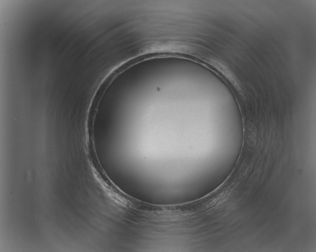 X0000073930980200608251611