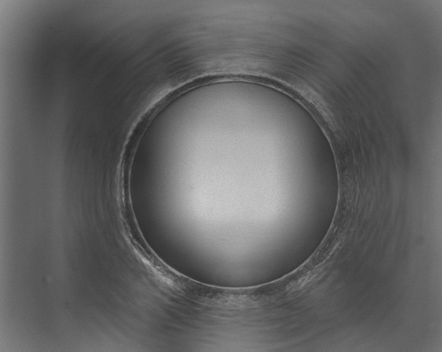 X0000073930982200608251611