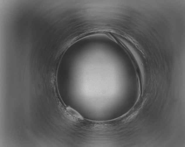 X0000073930985200608251611