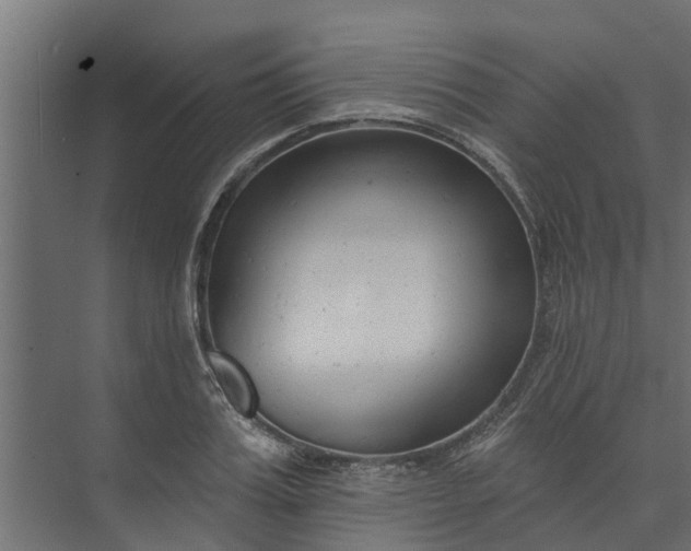 X0000073930987200608251611