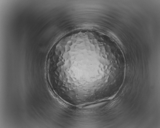 X0000073930994200608251611