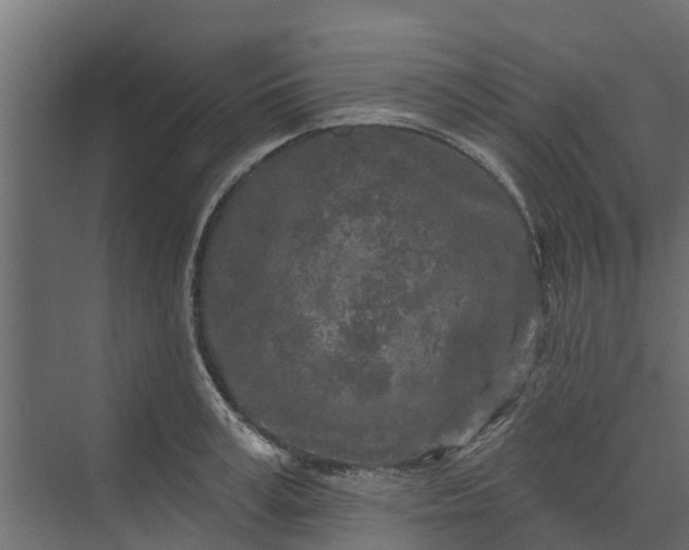 X0000073930995200608251611