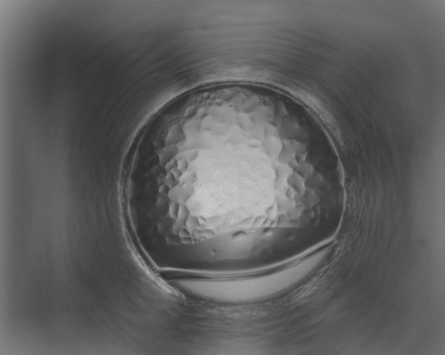 X0000073930998200608251610