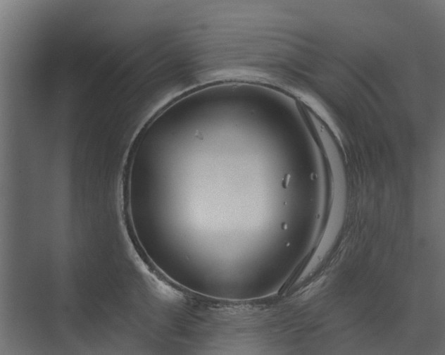 X0000073930999200608251610