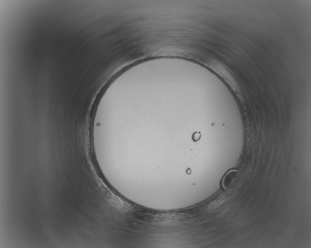 X0000073931000200608251610