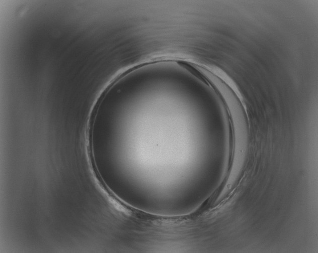 X0000073931005200608251610