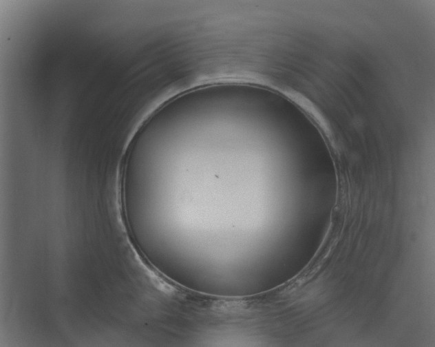 X0000073931006200608251610