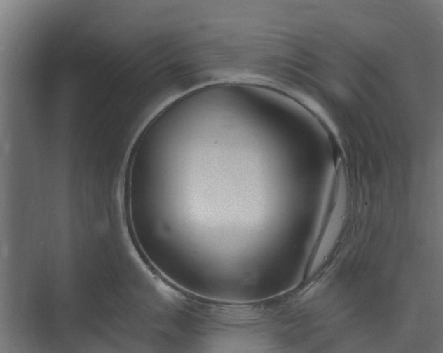 X0000073931007200608251610