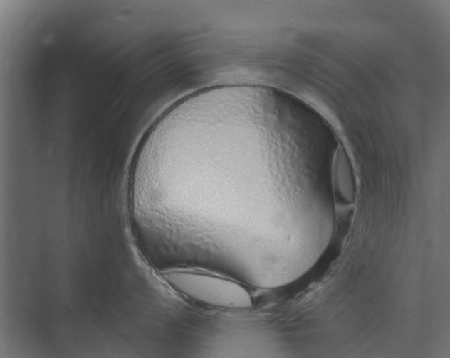 X0000073931008200608251610