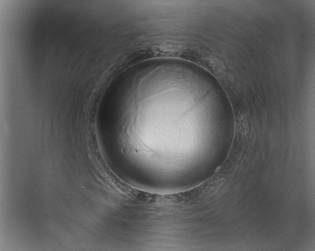 X0000073931009200608251609