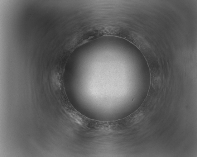 X0000073931010200608251610