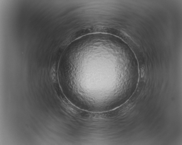 X0000073931011200608251610