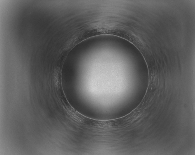 X0000073931012200608251610