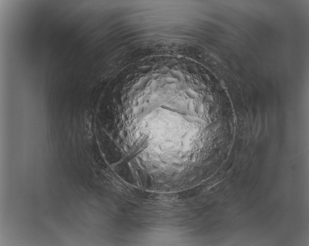 X0000073931013200608251610