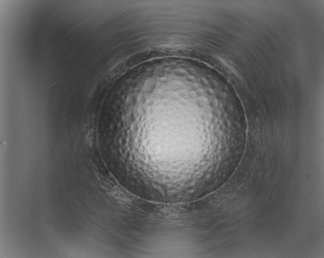 X0000073931015200608251610