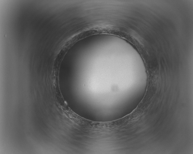 X0000073931016200608251610