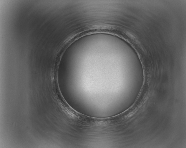 X0000073931017200608251610