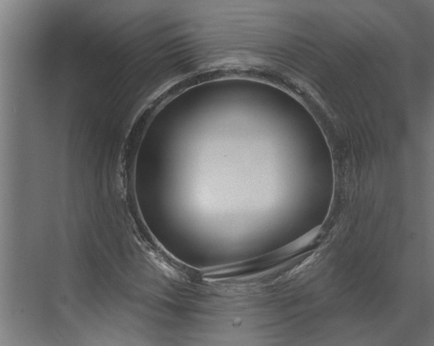 X0000073931018200608251610