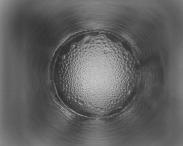 X0000073931023200608251610